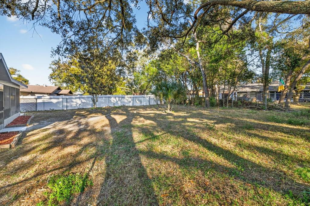 8078 Pagoda Drive Spring Hill, FL 34606 - Photo 47 of 54 a view of a yard with plants and trees
