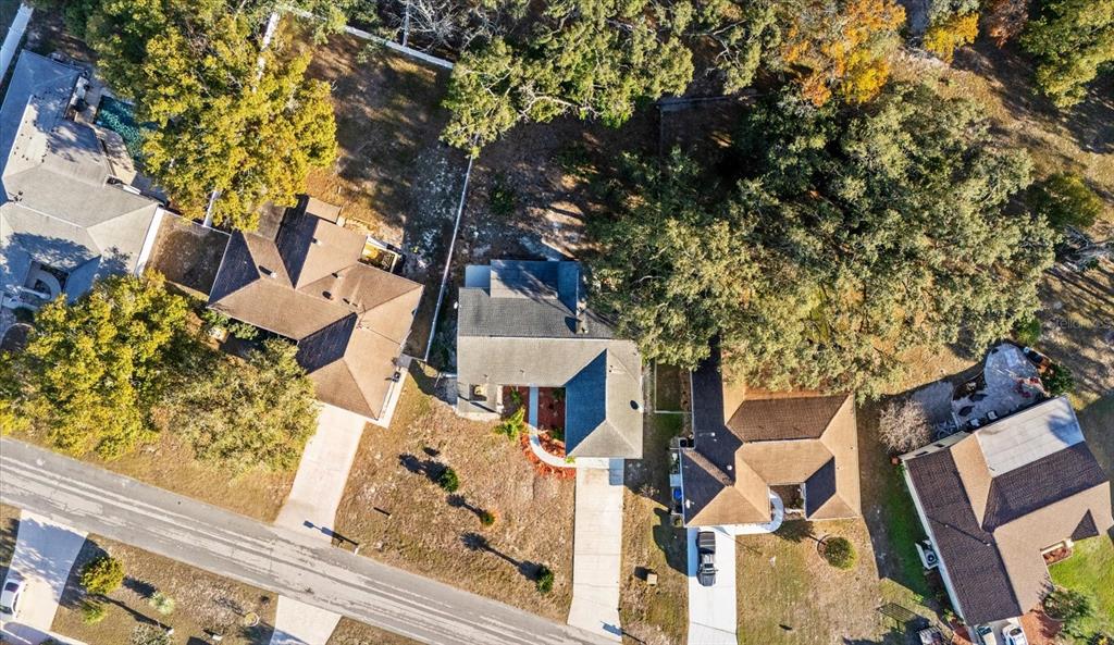 8078 Pagoda Drive Spring Hill, FL 34606 - Photo 50 of 54 front view of a house with a tree