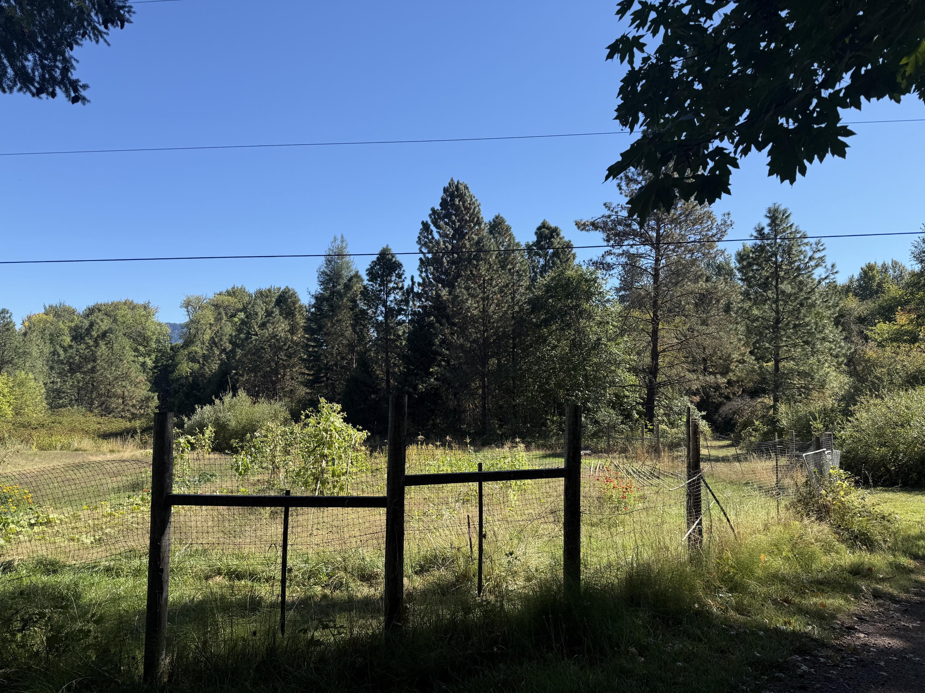 1225 Messinger Road Williams, OR 97544 - Photo 55 of 67 pond garden