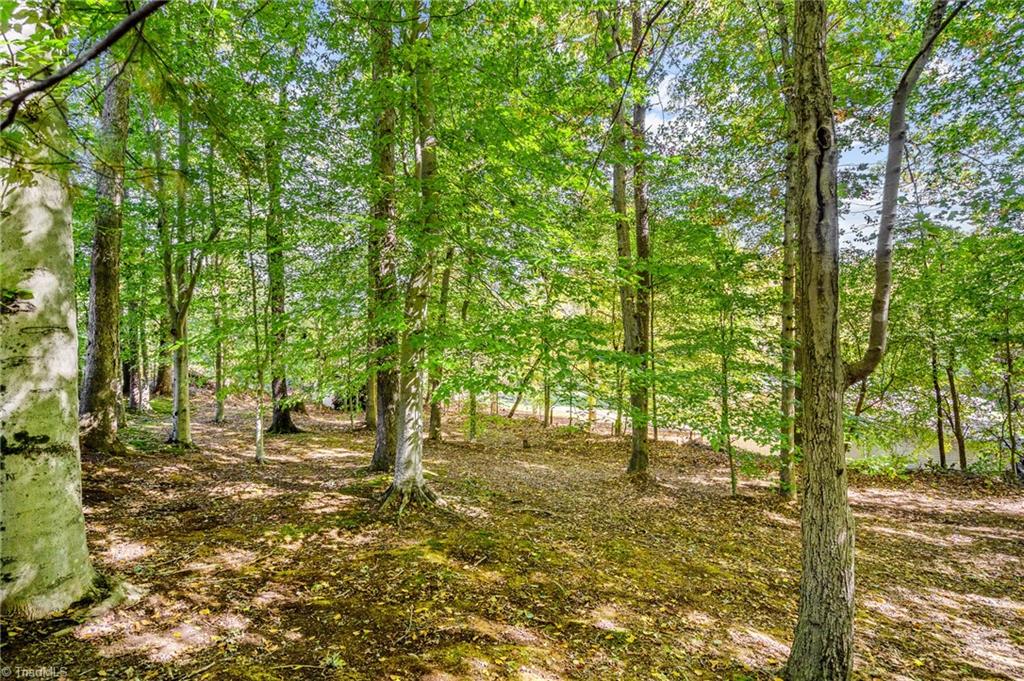 970 Helmstetler Road Lexington, NC 27295 - Photo 31 of 34