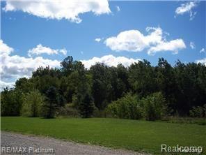 3 D Pierson Road Fowlerville, MI 48836 - Photo 3 of 4