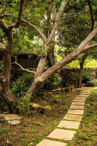 a view of yard along with trees