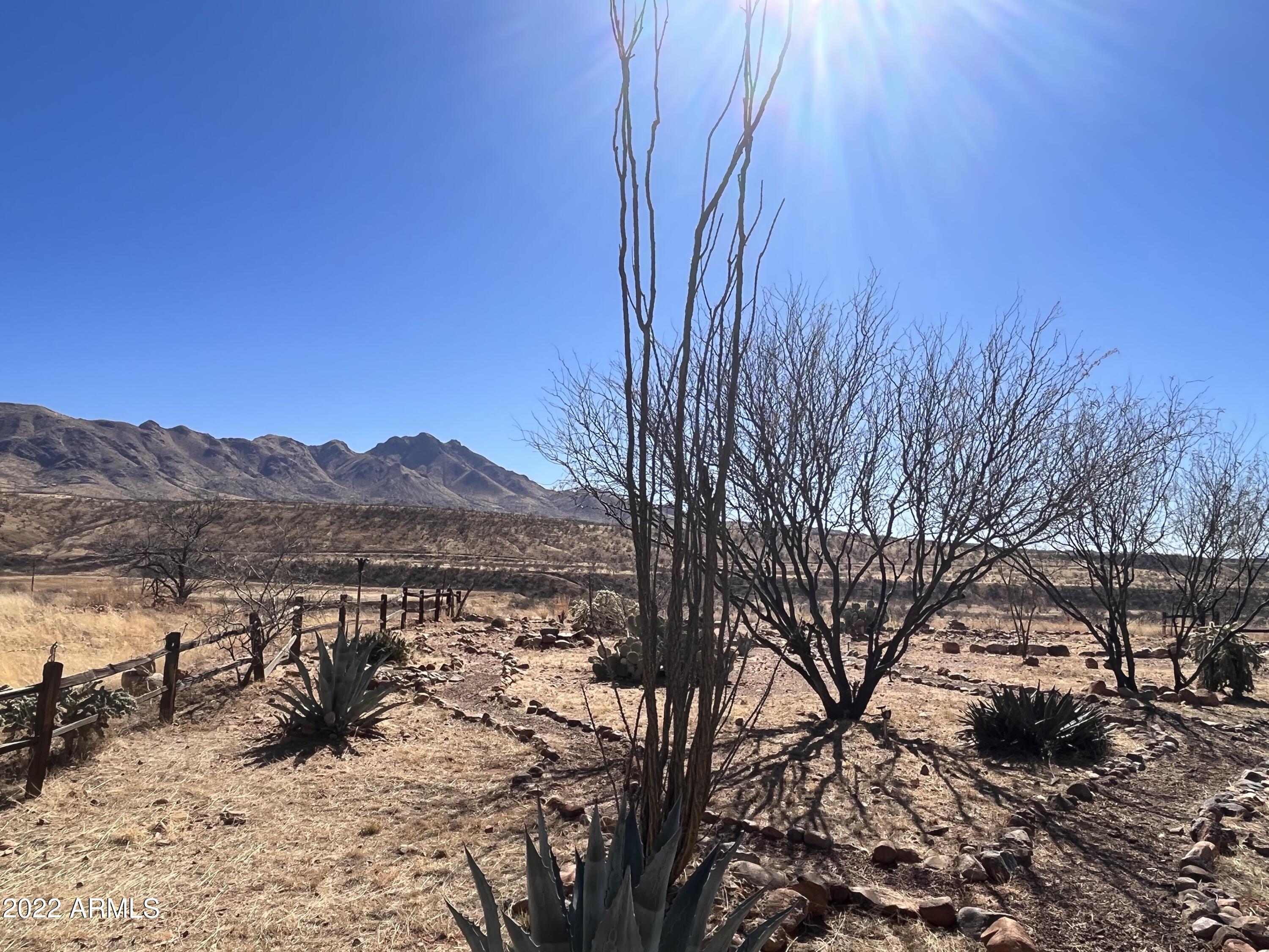 127 Ver Patria Rio Rico, AZ 85648 - Photo 45 of 45 IMG_5454