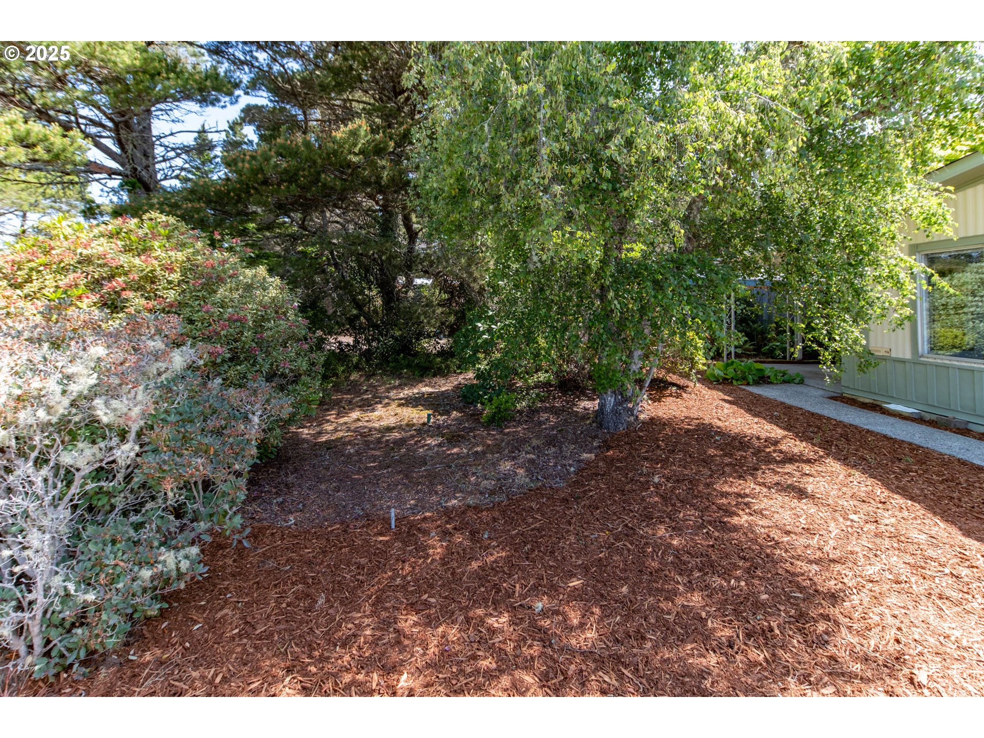 790 Siano Loop Florence, OR 97439 - Photo 14 of 43 Gallery Image 14