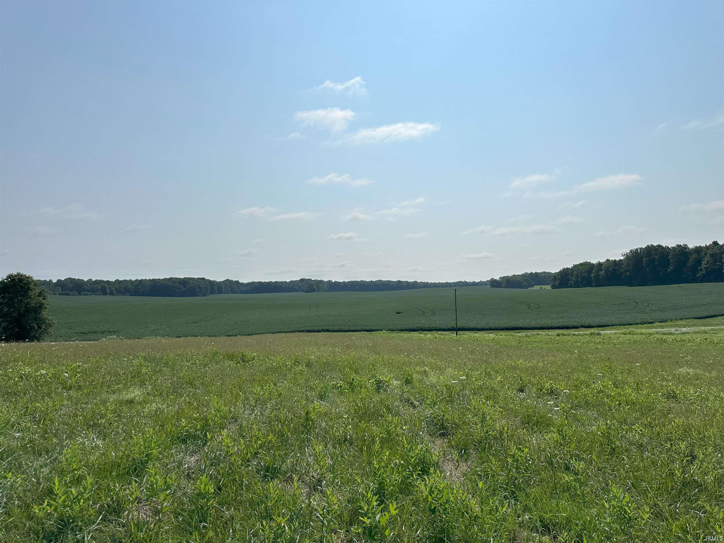 Vfw Road Mitchell, IN 47446 - Photo 12 of 13