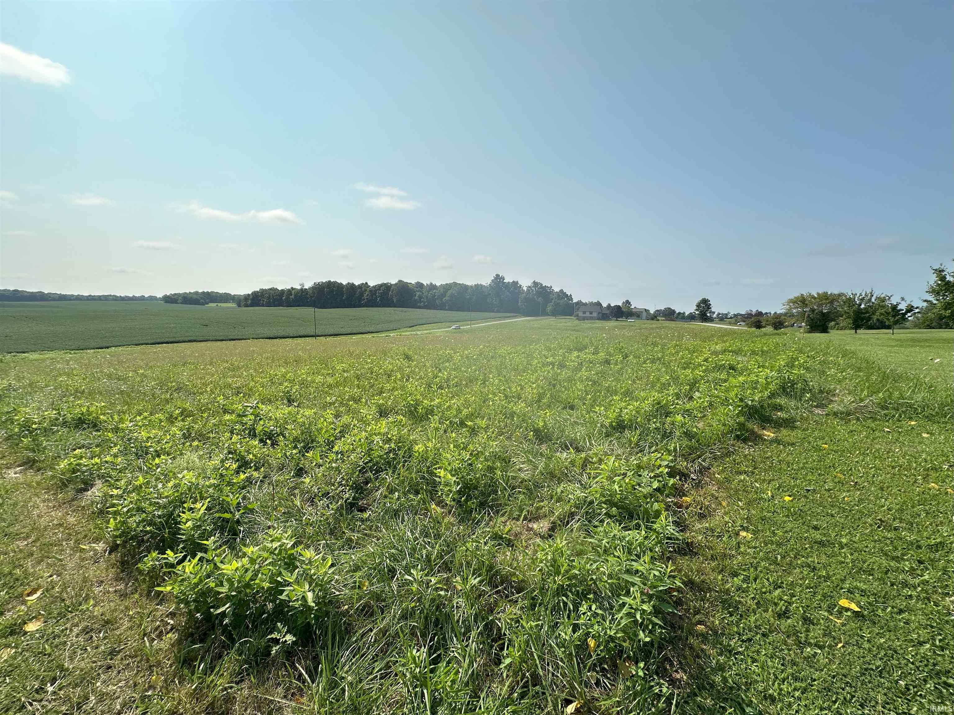 Vfw Road Mitchell, IN 47446 - Photo 8 of 13