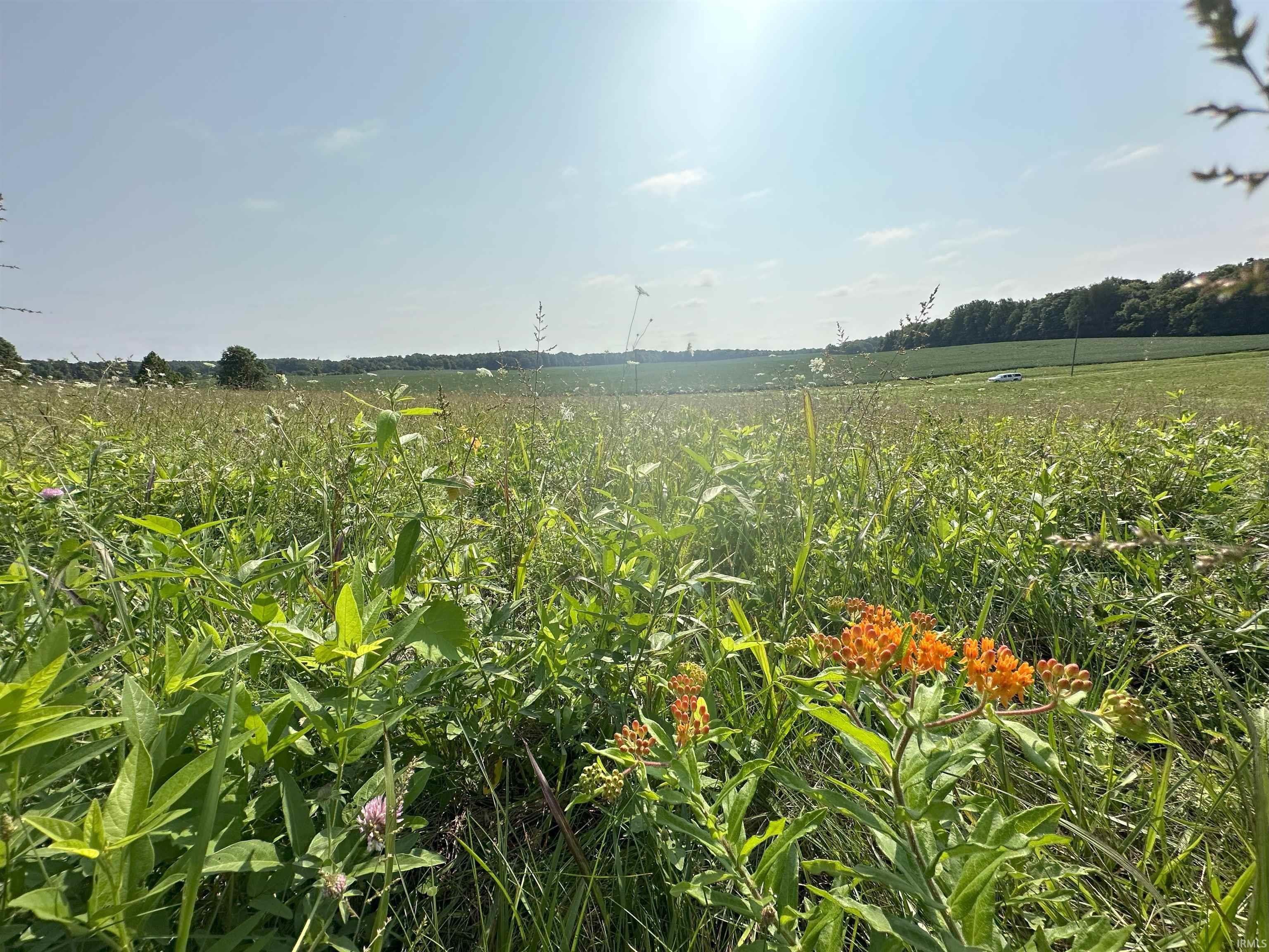 Vfw Road Mitchell, IN 47446 - Photo 10 of 13