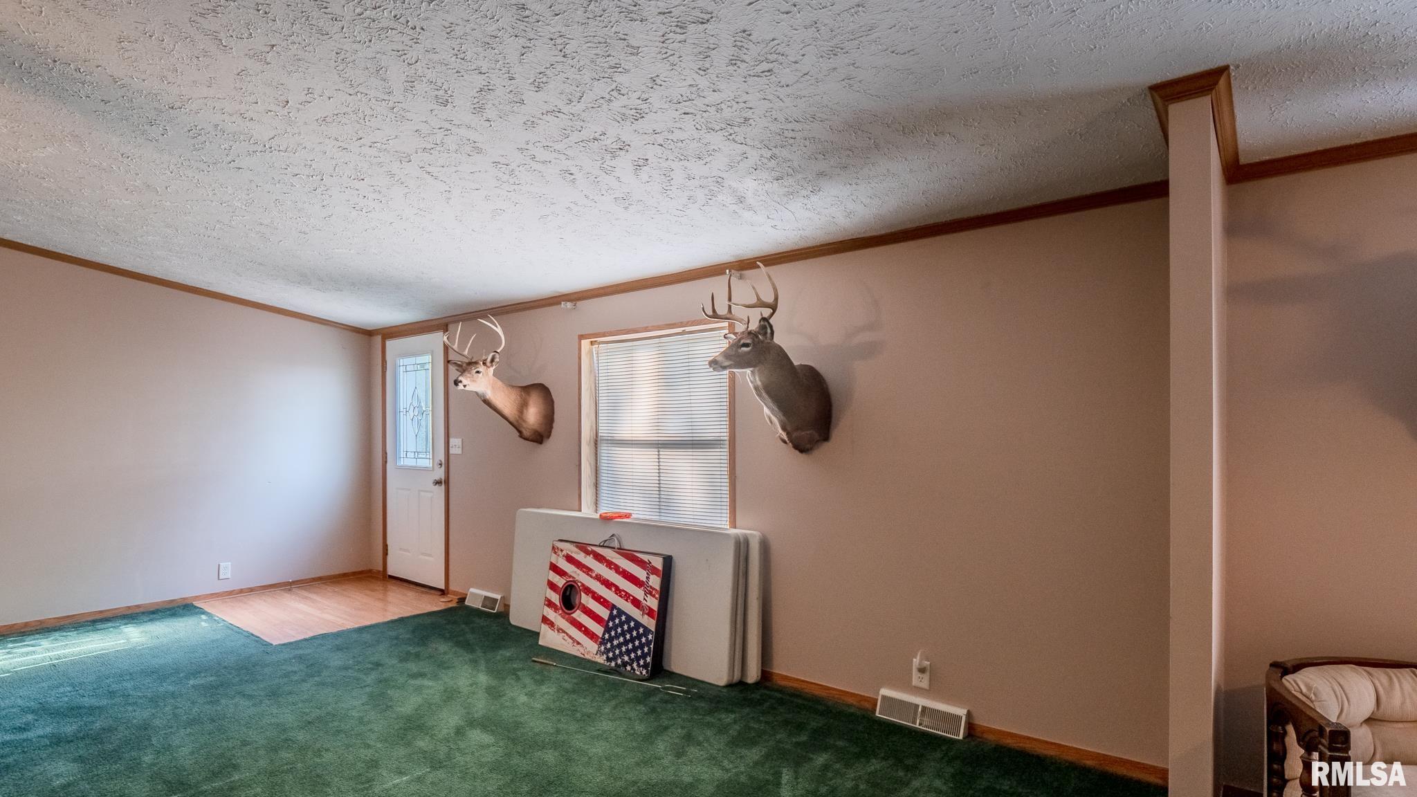 8411 Brimberry Road Alma, IL 62807 - Photo 19 of 81