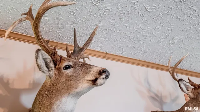 $256,000 | 8411 Brimberry Road, Alma, IL 62807