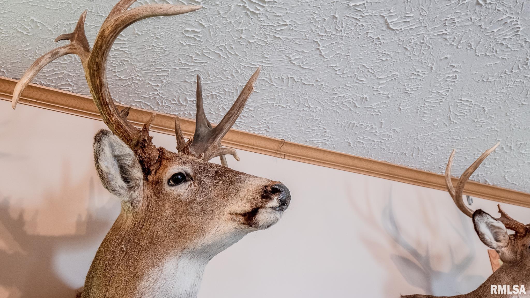 8411 Brimberry Road Alma, IL 62807 - Photo 35 of 81