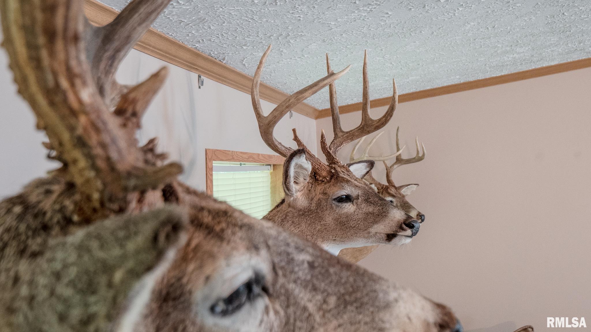 8411 Brimberry Road Alma, IL 62807 - Photo 36 of 81