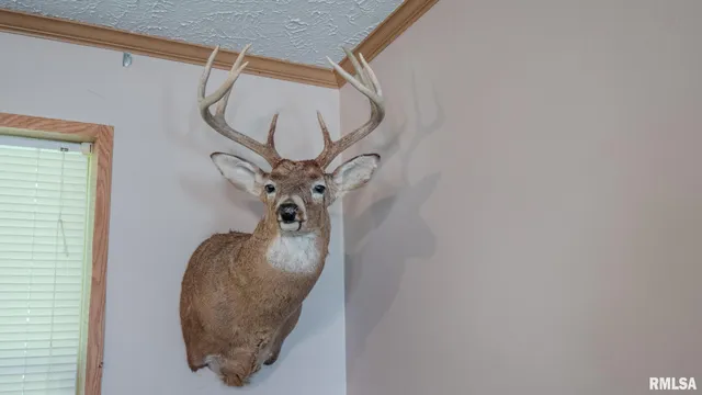 $256,000 | 8411 Brimberry Road, Alma, IL 62807