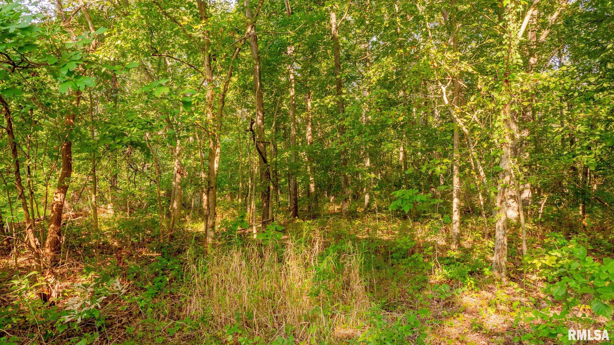 8411 Brimberry Road Alma, IL 62807 - Photo 42 of 81