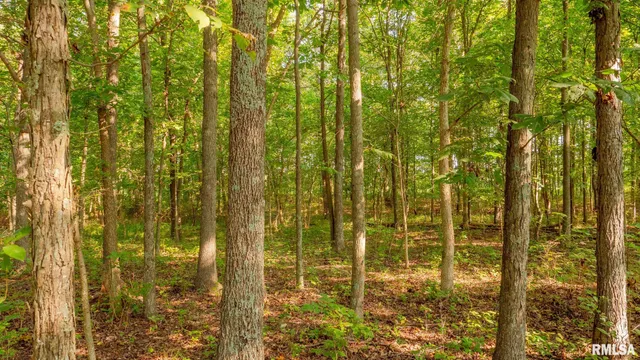 $256,000 | 8411 Brimberry Road, Alma, IL 62807