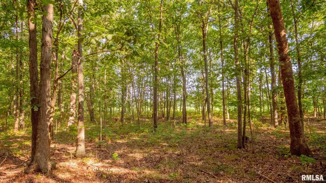 $256,000 | 8411 Brimberry Road, Alma, IL 62807