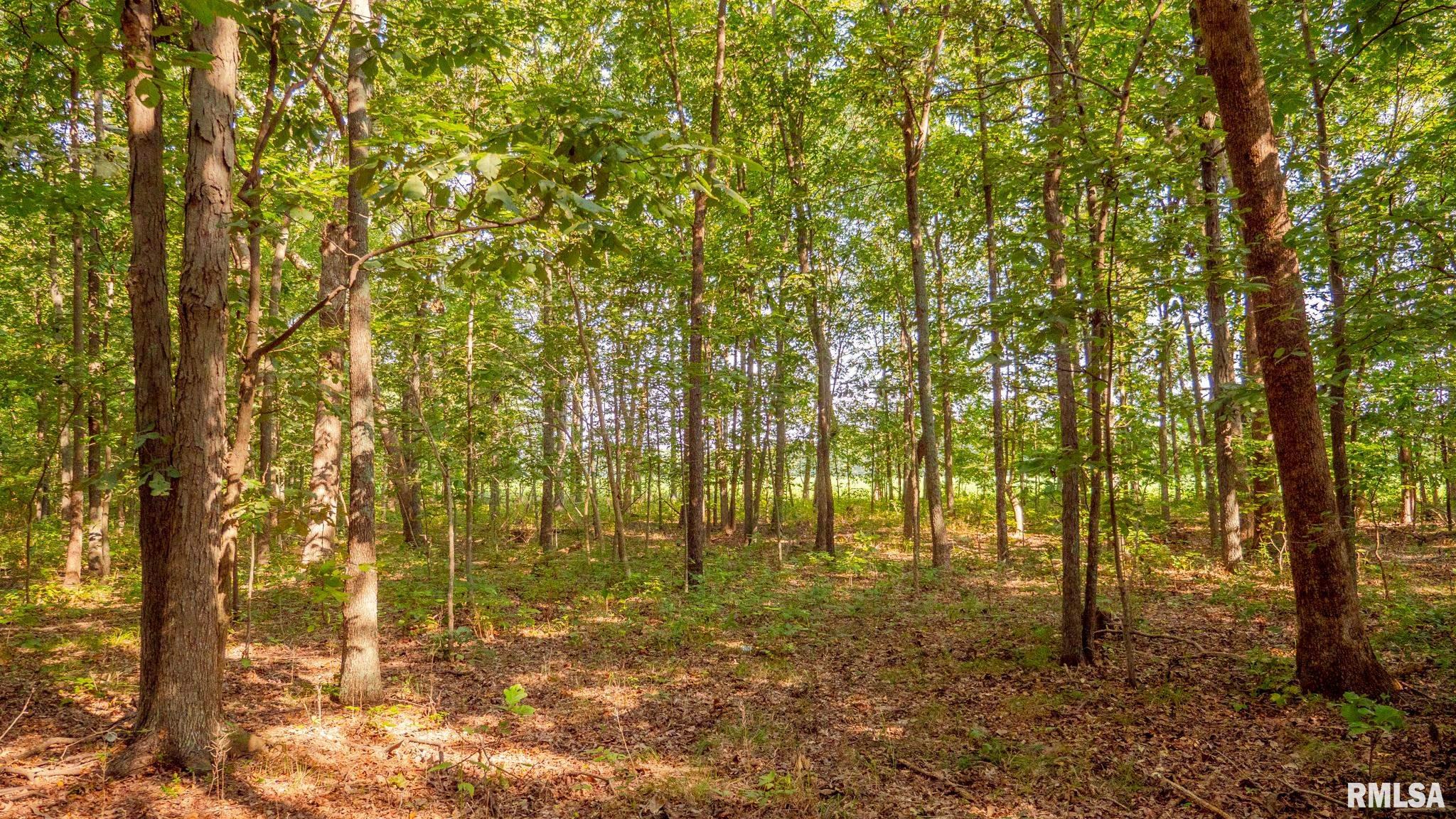 8411 Brimberry Road Alma, IL 62807 - Photo 45 of 81