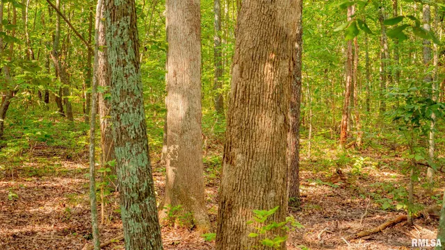 $256,000 | 8411 Brimberry Road, Alma, IL 62807