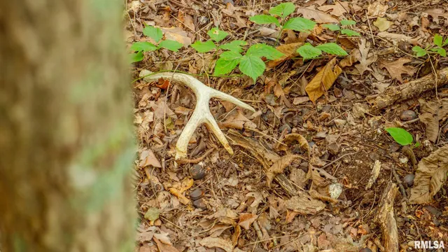 $256,000 | 8411 Brimberry Road, Alma, IL 62807