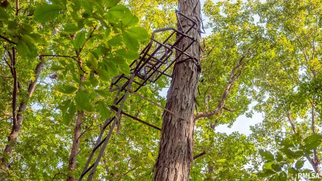 $256,000 | 8411 Brimberry Road, Alma, IL 62807