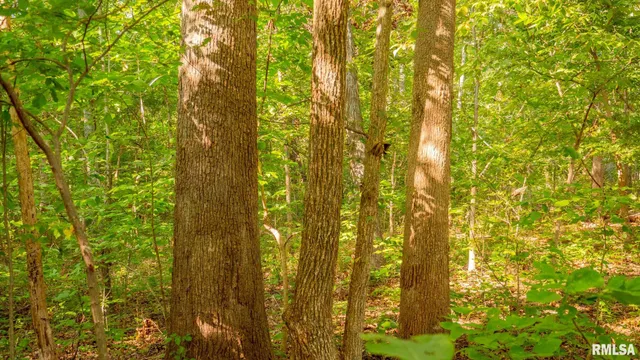 $256,000 | 8411 Brimberry Road, Alma, IL 62807