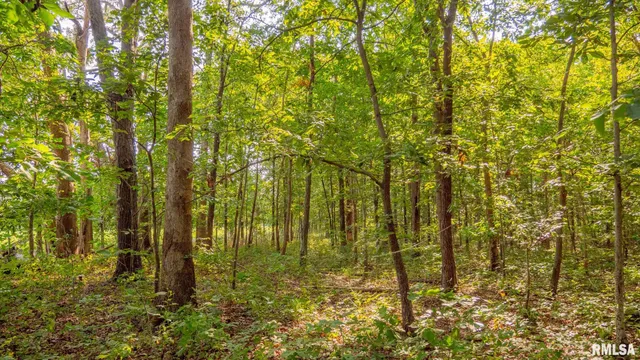 $256,000 | 8411 Brimberry Road, Alma, IL 62807