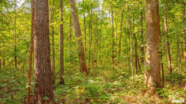 $256,000 | 8411 Brimberry Road, Alma, IL 62807