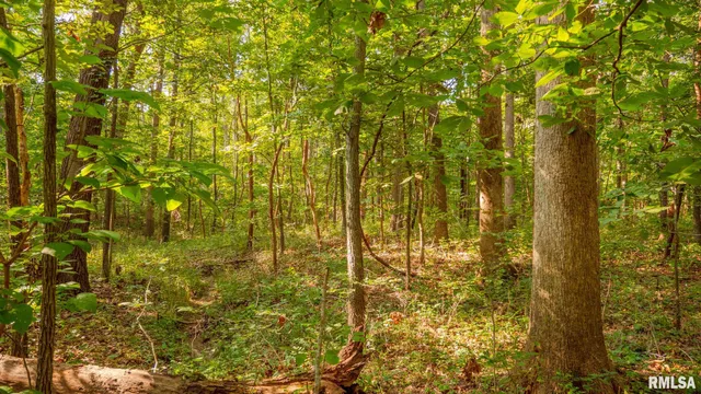 $256,000 | 8411 Brimberry Road, Alma, IL 62807