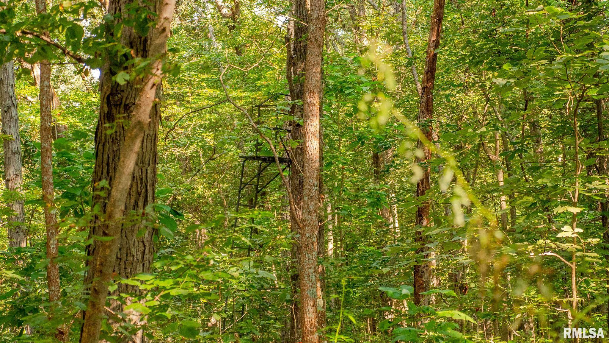 8411 Brimberry Road Alma, IL 62807 - Photo 55 of 81