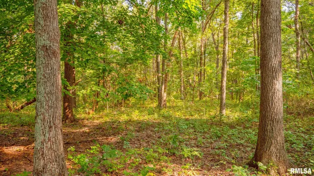 $256,000 | 8411 Brimberry Road, Alma, IL 62807