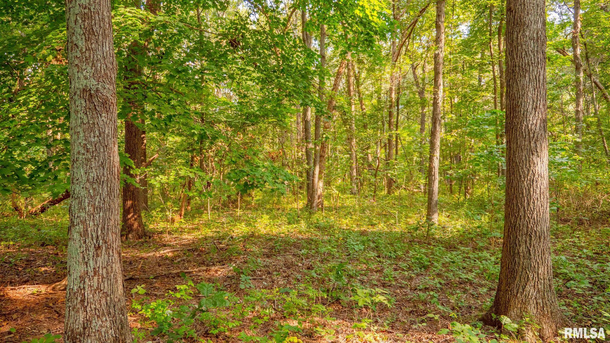 8411 Brimberry Road Alma, IL 62807 - Photo 57 of 81