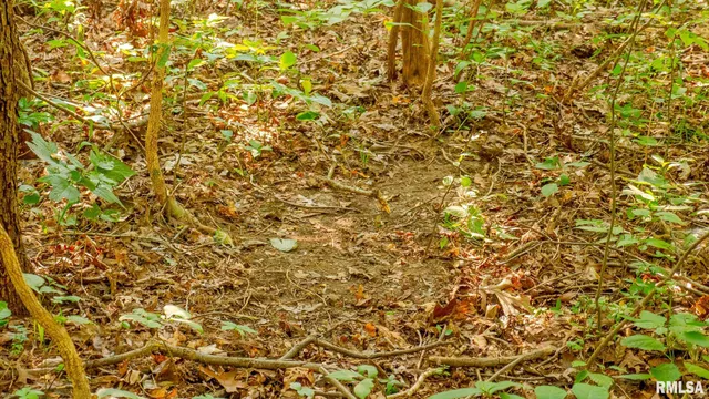 $256,000 | 8411 Brimberry Road, Alma, IL 62807