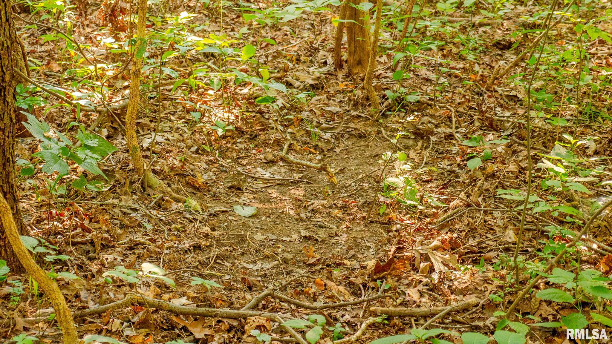 8411 Brimberry Road Alma, IL 62807 - Photo 59 of 81