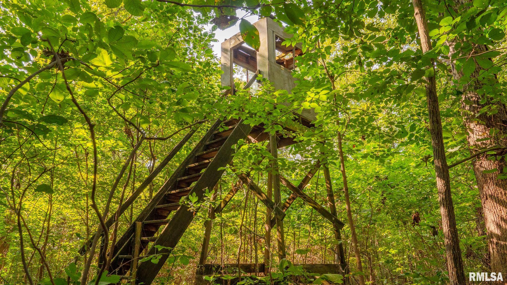 8411 Brimberry Road Alma, IL 62807 - Photo 60 of 81