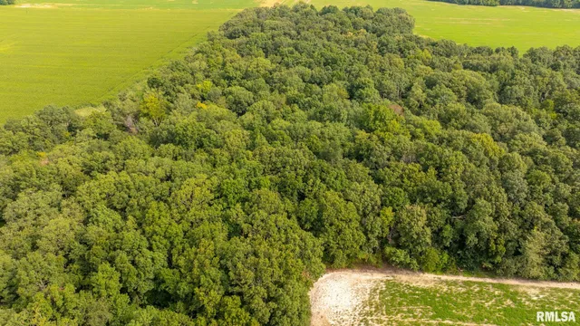 $256,000 | 8411 Brimberry Road, Alma, IL 62807