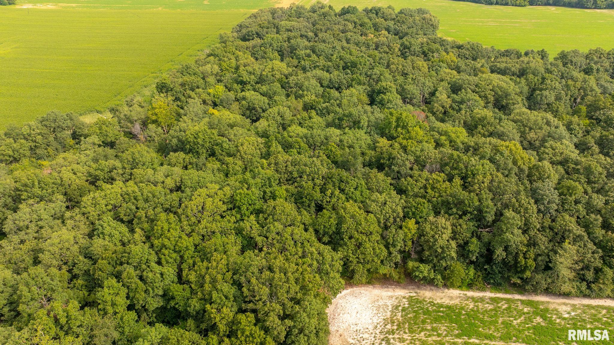 8411 Brimberry Road Alma, IL 62807 - Photo 6 of 81