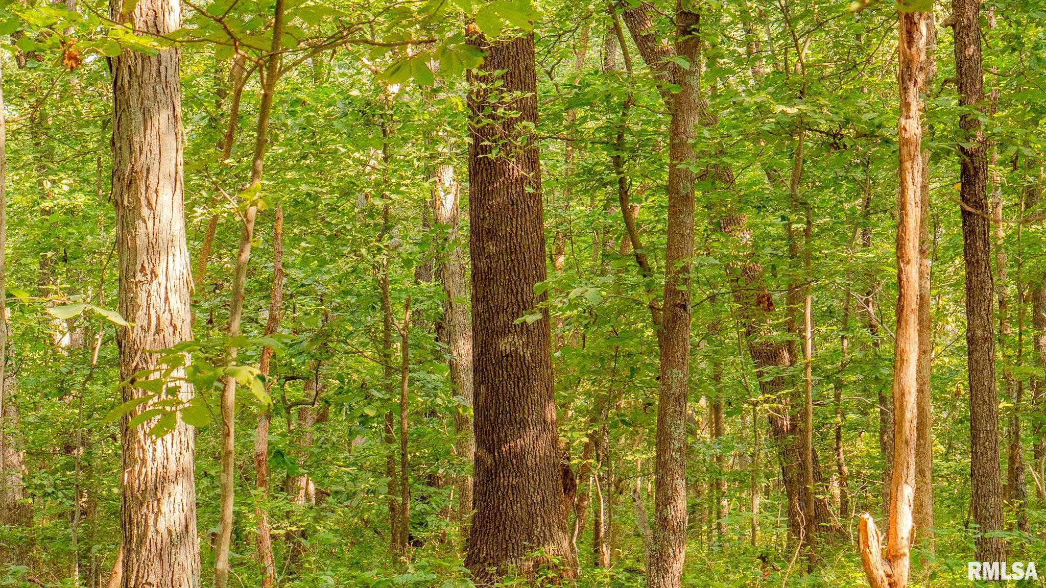 8411 Brimberry Road Alma, IL 62807 - Photo 63 of 81