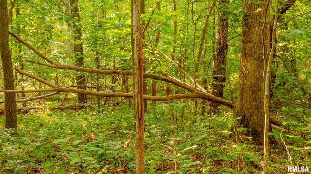 $256,000 | 8411 Brimberry Road, Alma, IL 62807