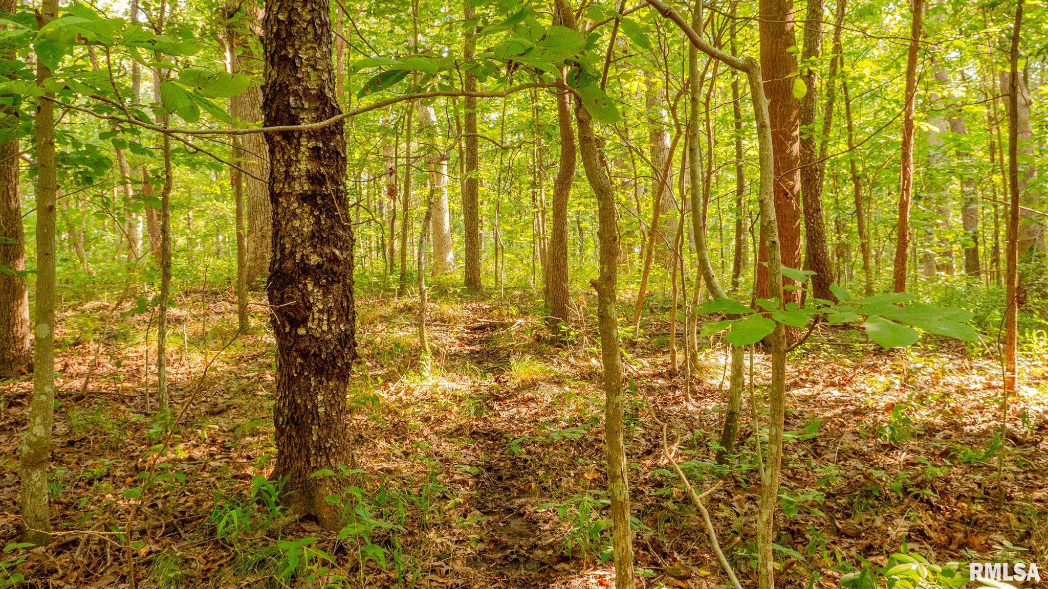 8411 Brimberry Road Alma, IL 62807 - Photo 65 of 81