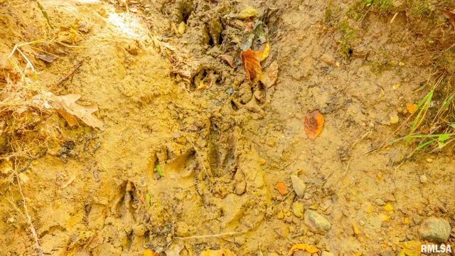 $256,000 | 8411 Brimberry Road, Alma, IL 62807