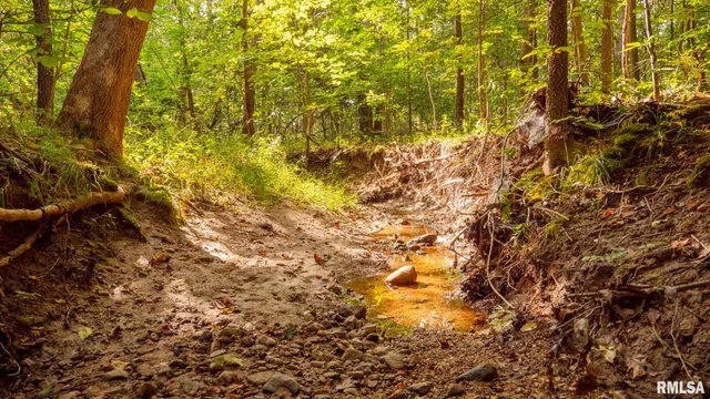 $256,000 | 8411 Brimberry Road, Alma, IL 62807