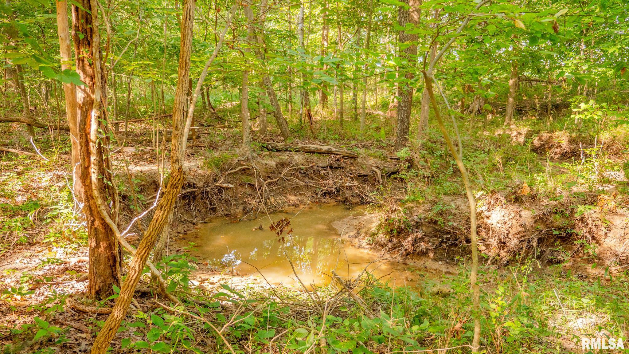 8411 Brimberry Road Alma, IL 62807 - Photo 68 of 81