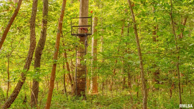 $256,000 | 8411 Brimberry Road, Alma, IL 62807