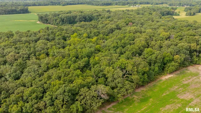 $256,000 | 8411 Brimberry Road, Alma, IL 62807