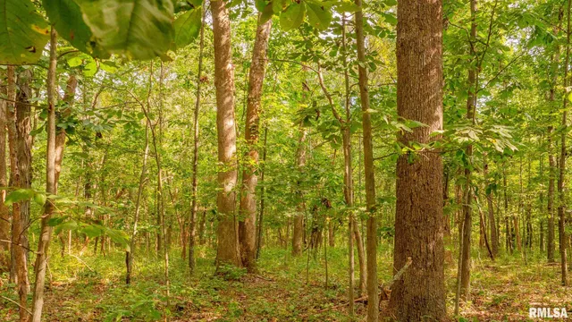 $256,000 | 8411 Brimberry Road, Alma, IL 62807