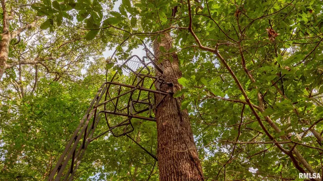 $256,000 | 8411 Brimberry Road, Alma, IL 62807