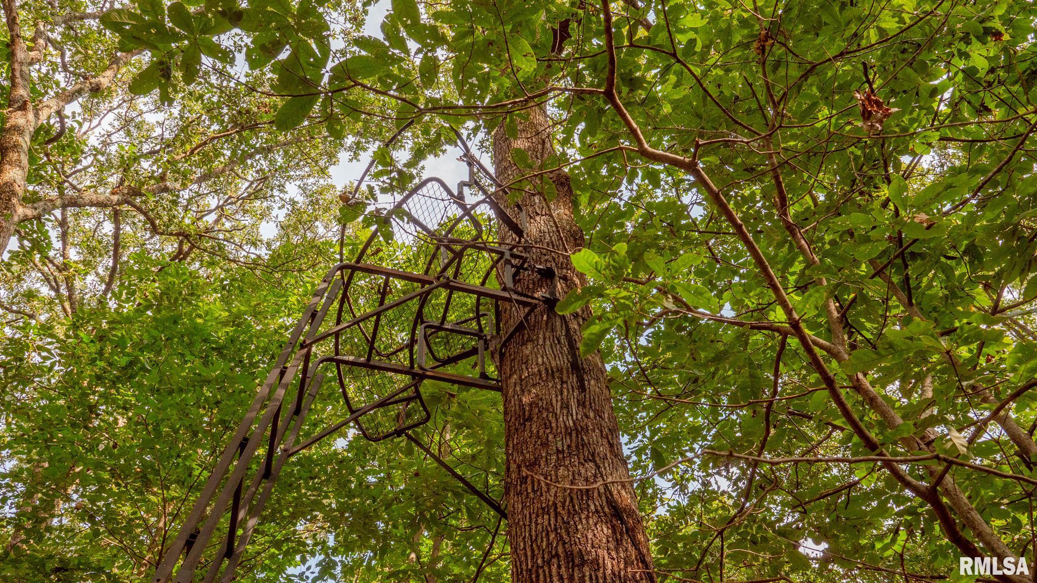 8411 Brimberry Road Alma, IL 62807 - Photo 72 of 81