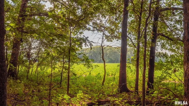 $256,000 | 8411 Brimberry Road, Alma, IL 62807