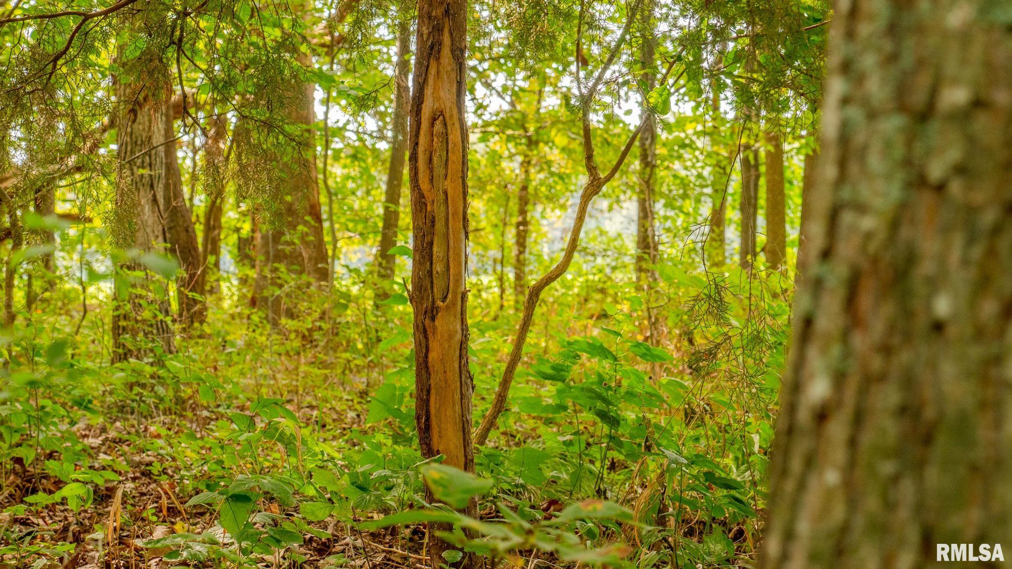 8411 Brimberry Road Alma, IL 62807 - Photo 76 of 81