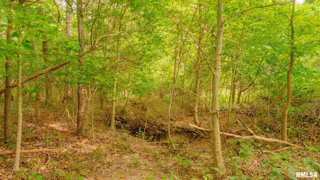 $256,000 | 8411 Brimberry Road, Alma, IL 62807