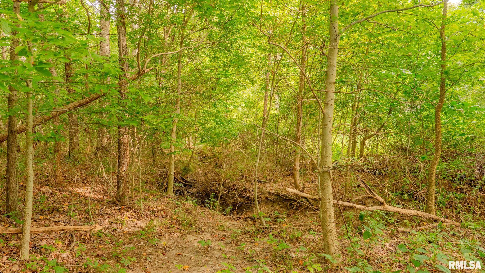 8411 Brimberry Road Alma, IL 62807 - Photo 77 of 81